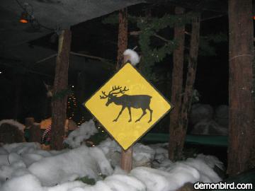 moose sign in Elf Mountain